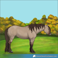 Horse Color:Liver Red Dun 