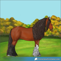 Horse Color:Bay Tobiano Rabicano 