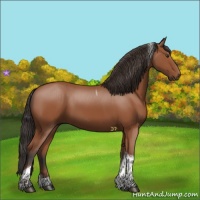 Horse Color:Bay Tobiano Rabicano 