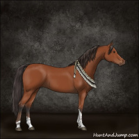 Horse Color:Bay Tobiano Rabicano