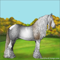Horse Color:Gray Liver Chestnut Tobiano