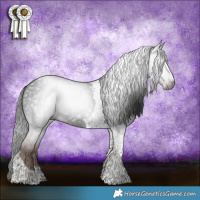 Horse Color:Gray Liver Chestnut Tobiano 