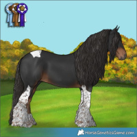 Horse Color:Gray Liver Chestnut Tobiano