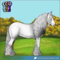 Horse Color:Gray Liver Chestnut Tobiano 