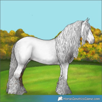 Horse Color:Gray Liver Chestnut Tobiano