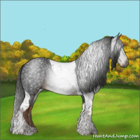 Horse Color:Gray Liver Chestnut Tobiano 