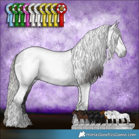 Horse Color:Gray Liver Chestnut Tobiano
