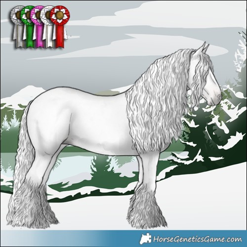 Horse Color:Gray Liver Chestnut Tobiano 