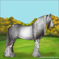 Horse Color:Gray Liver Chestnut Tobiano
