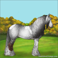 Horse Color:Gray Liver Chestnut Tobiano 