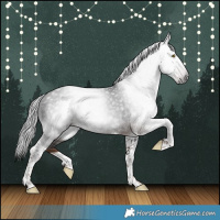 Horse Color:Gray Liver Chestnut Tobiano 