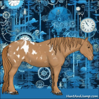 Horse Color:Chestnut Appaloosa