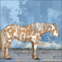 Horse Color:Chestnut Appaloosa