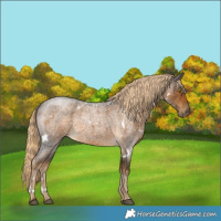 Horse Color:White Spotted Chocolate Palomino Roan Mushroom 