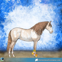 Horse Color:Gold Champagne Pearl Dun Rabicano and Gold Champagne Pearl Dun Frame Rabicano