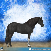 Horse Color:Liver Chestnut Tobiano Rabicano 