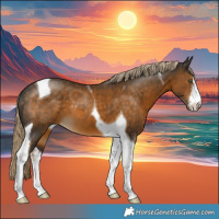 Horse Color:White Spotted Chocolate Palomino Mushroom Tobiano 
