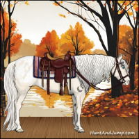 Horse Color:Cremello Appaloosa 