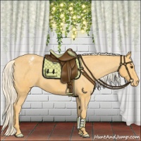 Horse Color:Palomino Appaloosa