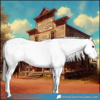 Horse Color:Liver Red Dun Appaloosa 