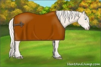 Horse Color:Cremello 