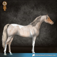 Horse Color:Chocolate Palomino Roan Tobiano 