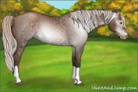 Horse Color:Gray Silver Black Pearl Tobiano 