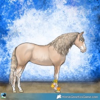 Horse Color:Gold Champagne Pearl Rabicano  and Gold Champagne Pearl Splash Rabicano 