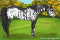Horse Color:Black  and Black Frame 