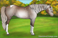 Horse Color:Gray Silver Black Pearl Tobiano 