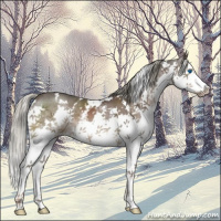Horse Color:White Spotted Liver Chestnut Mushroom Splash 