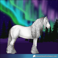 Horse Color:Gray Liver Red Roan Tobiano Rabicano