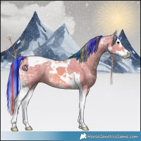 Horse Color:Painted Watercolor Bay Ice Splash Tobiano Rabicano 