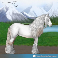 Horse Color:Gray White Spotted Chocolate Palomino Rabicano
