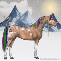 Horse Color:Painted Bay Ice Tobiano Rabicano