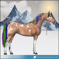Horse Color:Painted Bay Ice Tobiano Rabicano 