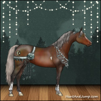 Horse Color:White Spotted Silver Brown Tobiano