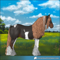 Horse Color:Liver Chestnut Tobiano 