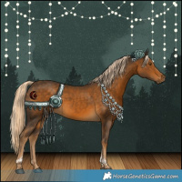 Horse Color:Chocolate Palomino Tobiano 