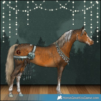 Horse Color:White Spotted Chocolate Palomino Tobiano 