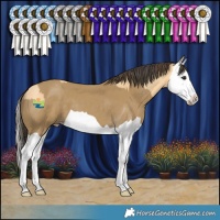 Horse Color:Buckskin Splash  and Classic Cream Champagne Splash 