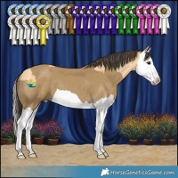 Horse Color:Buckskin Splash and Classic Cream Champagne Splash