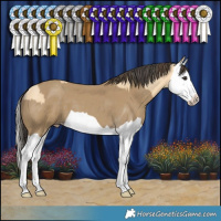 Horse Color:Buckskin Splash and Classic Cream Champagne Splash