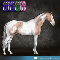 Horse Color:Bay Roan Splash Tobiano Frame Rabicano 