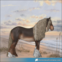 Horse Color:Liver Chestnut Tobiano Rabicano 