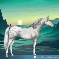 Horse Color:Silver Grullo Tobiano Blanket 
