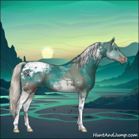 Horse Color:Silver Grullo Tobiano Appaloosa
