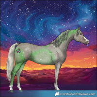 Horse Color:Silver Grullo 
