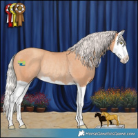 Horse Color:Silver Amber Champagne Splash Rabicano 