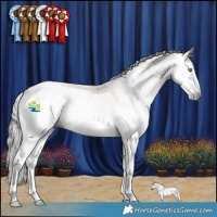 Horse Color:Gray Amber Champagne Splash 